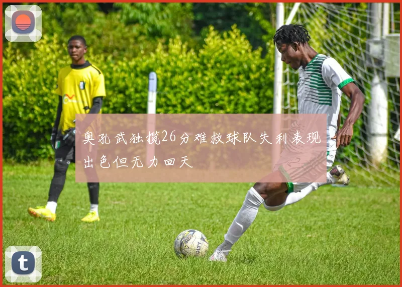 奥孔武独揽26分难救球队失利表现出色但无力回天